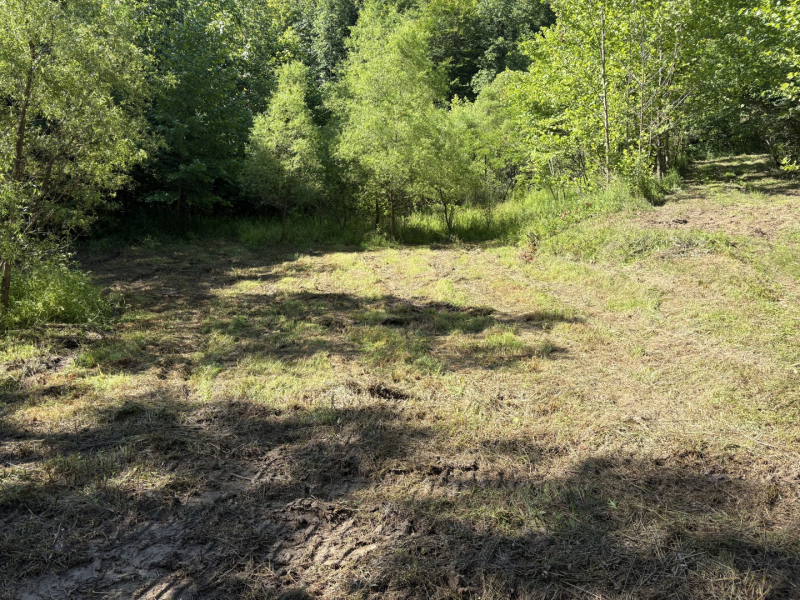 Find Tranquility in the Hills: Tract 5 Martins Creek